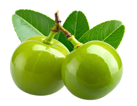 Two whole amla berries with stem and leaf, isolated on transparent background, generative AI - Powered by Adobe
