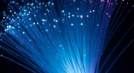 Radiant Fiber Optic Cables Emitting Blue and Purple Light
