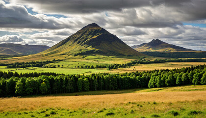 Fototapeta premium Le paysage verdoyant