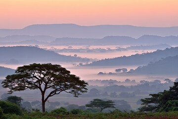 Misty mountain valley at dawn. Silhouetted tree in foreground