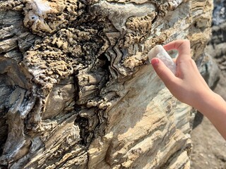Close-up of children's hands holding a small white marble piece like chalk in front of a textured rock relief. Evokes curiosity, nature, geology, outdoor learning, and tactile exploration