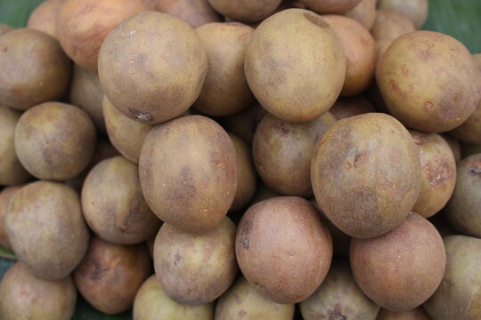 manilkara zapota on market