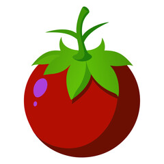 tomato vector illustration