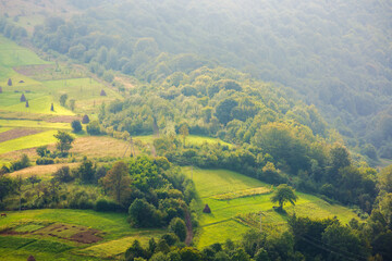 countryside mountain landscape. green fields, arable and trees on the hill in dappled light....