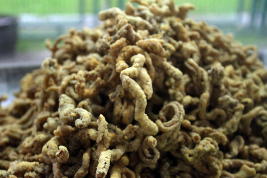 usus goreng