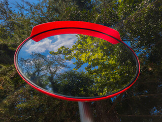 Reflejo de árboles y el cielo en un espejo