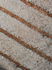 Lineas rellenas de pinaza en el cemento