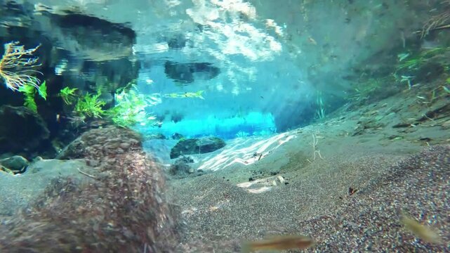 Underwater world