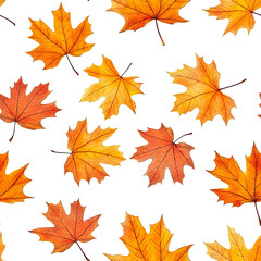 Obraz premium 2D illustration of a tileable pattern of fallen maple leaves isolated on a white transparent background.