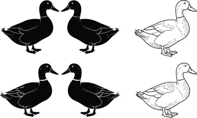 Duck Silhouette and Line Art Set, Wildlife Bird Comparison, Floating Waterfowl Vector, Nature Illustration Pack, Artistic Style Contrast