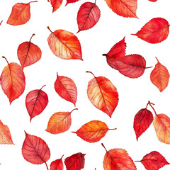 2D illustration of a tileable pattern of decayed winter cherry leaves isolated on a white transparent background.
