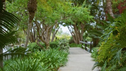 Defocused view of a lush tropical garden path at a luxury resort surrounded by green foliage and trees, providing a serene and tranquil outdoor atmosphere.