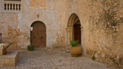 Blurred view of an ancient stone cloister with rustic wooden doors and arched walls in an old university campus setting, emphasizing textures and historical atmosphere.