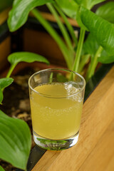 Trendy Cocktails & Wellness Drinks Photography - Adaptogenic Elixirs, Artisanal Mixology - Vibrant Flat Lays & Pour Shots