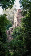 Temple in the Jungle