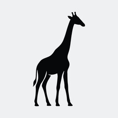 Fototapeta premium Silhouette giraffe standing tall wildlife animal vector illustration