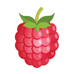 Raspberry vector illustration set. Collection of ripe raspberries isolated on background. Natural summer fruit .