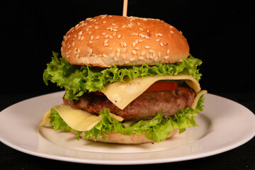 Delicious cheeseburger with lettuce and tomato on sesame seed bun
