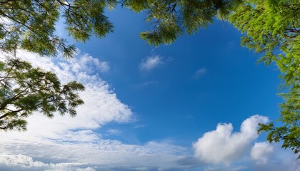 Obraz premium blank blue sky with fluffy clouds and green tree branches in the foreground providing copy space image
