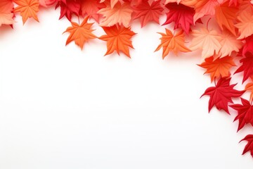 Obraz premium Maple autumn leaves border backgrounds plant leaf.