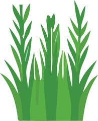 Vibrant green grass illustration with a textured appearance showcasing tall blades and a lush natural ground cover suitable for various design projects