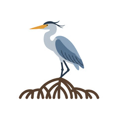 Fototapeta premium Scientific Research on Mangrove Ecosystems