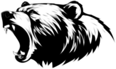 Roaring black and white bear head illustration in graphic style