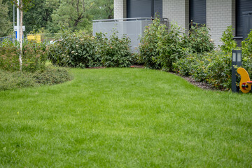 Well-kept green lawn with ornamental shrubs in front of a modern building
