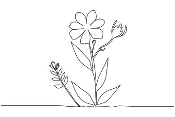 Minimal wild flower continuous one line art perfect for vector prints