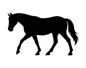 Obraz premium Walking horse silhouette side view. Vector illustration. AI Generative.