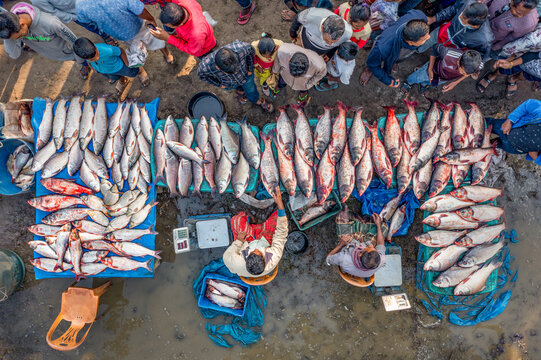 Bogura, Bangladesh - 18 November 2021: Aerial view of a bustling fish market with vibrant stalls and a crowd of shoppers, showcasing the day's fresh catch in a lively scene.