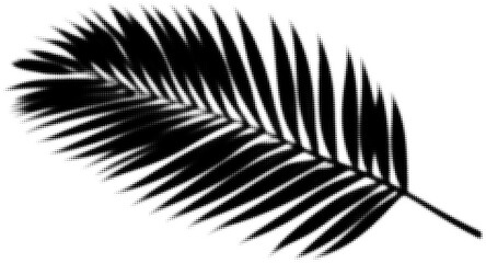 Black and white silhouette of a palm leaf with detailed shadows on white
