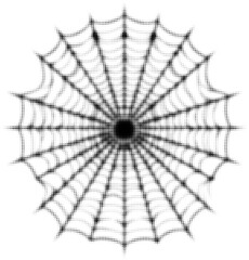 Obraz premium Geometric black and white spiderweb with dotted pattern abstract art