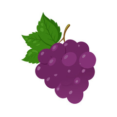 Colorful bunch of ripe grapes with green leaves on a white background