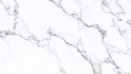 Obraz premium Elegant White Marble Texture Background