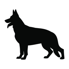 Silhouette of a german shepherd dog standing alert