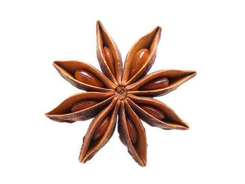 Star anise seed pod isolated on a transparent background