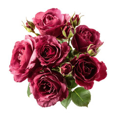 Beautiful bouquet of deep red roses arranged with delicate buds for a romantic occasion or celebration