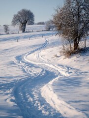 Obraz premium Snowy path winding through a winter landscape