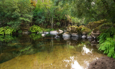 Mandeo River at dawn