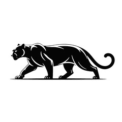 Fototapeta premium Silhouette of a walking black panther big cat wild animal