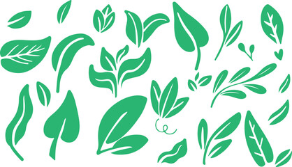 Green Leaf Doodle Pack – Botanical Plant Elements, Decorative Foliage Illustration