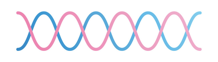 Pink and light blue wavy lines. Vector. Lines. Waves. Intersecting.