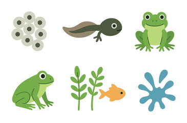 Fototapeta premium Frog Life Cycle. Flat vector mini-illustrations of frog life cycle in colors children's illustrations: frog