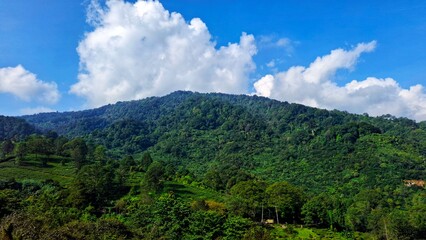 Obraz premium Mountains landscape. Panorama of beautiful countryside of Indonesia in sunny afternoon. landscape in mountains. grassy field and rolling hills. rural scenery with blue sky.