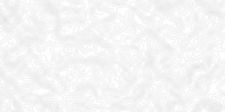 Black and white lines seamless Topographic map patterns, topography line map. Vintage outdoors style. The stylized height of the topographic map contour in lines and contours isolated on transparent.	