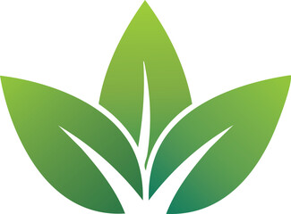 Three stylized green leaves with white veins, arranged symmetrically, suggesting growth and nature.