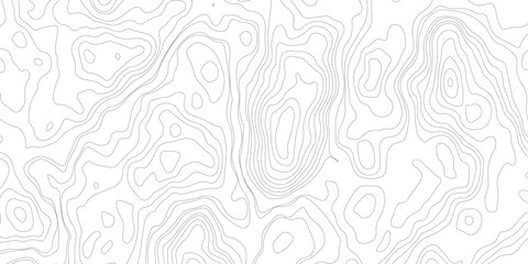 Vector topographic map background. Business concept. Design illustration for wall art, fabric, packaging, web, banner, wallpaper. Abstract vector illustration. 