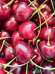 bunch of radishes