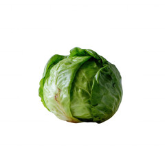 Fresh green lettuce head displayed against a white isolate background, showcasing its crisp leaves and vibrant color, perfect for healthy meal preparations and salads.
